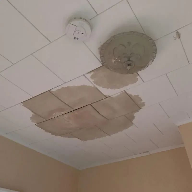 Ceiling Water Damage Repair in Church Rock, NM